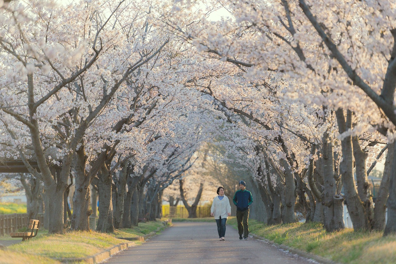 픽업트럭 화물차 세금 혜택 및 고속도로 차로 이용 규정