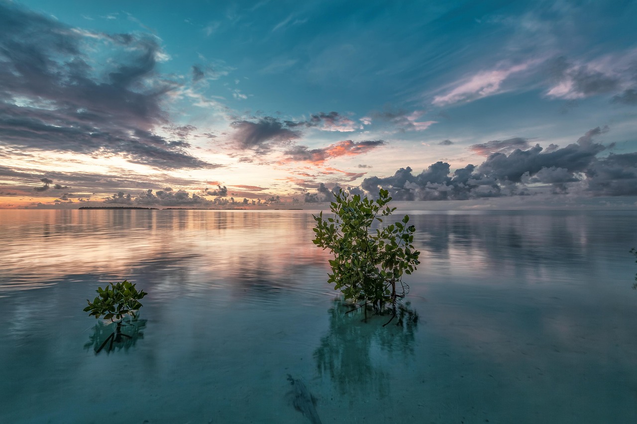 장거리 운전 전 반드시 체크해야 할 소모품 점검 리스트