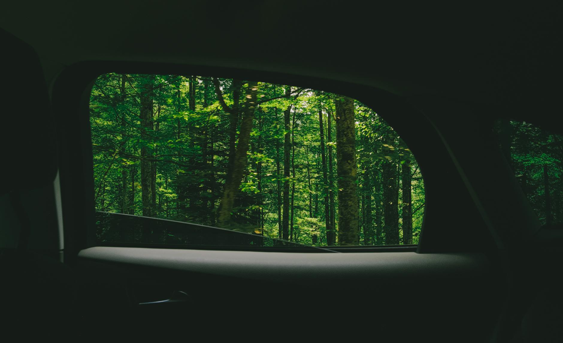 자동차 선쉐이드 자석형 vs 암막형 자외선 차단율 비교 매뉴얼 가이드