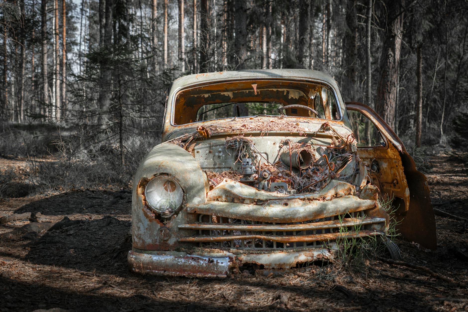 자동차 사고 이력 조회 '카히스토리' 무료 확인 및 침수차 판별법