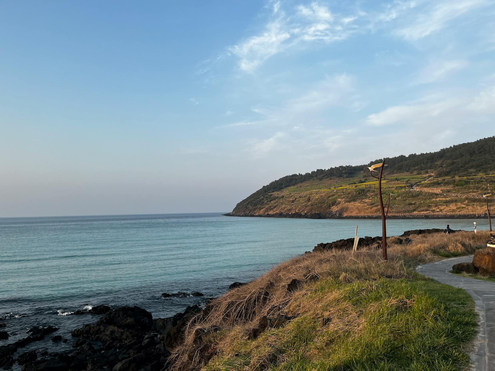 제주도 렌터카 완전 자차 vs 슈퍼 자차 차이 업체 선정 매뉴얼 가이드