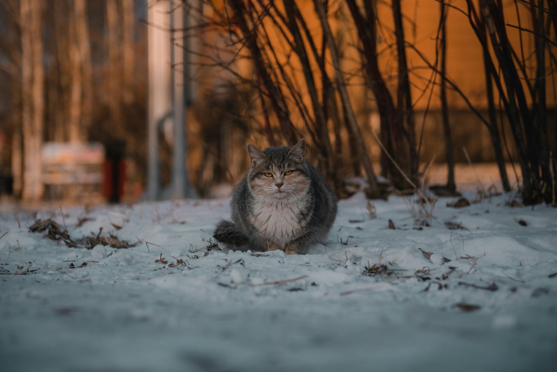 posttitle 712